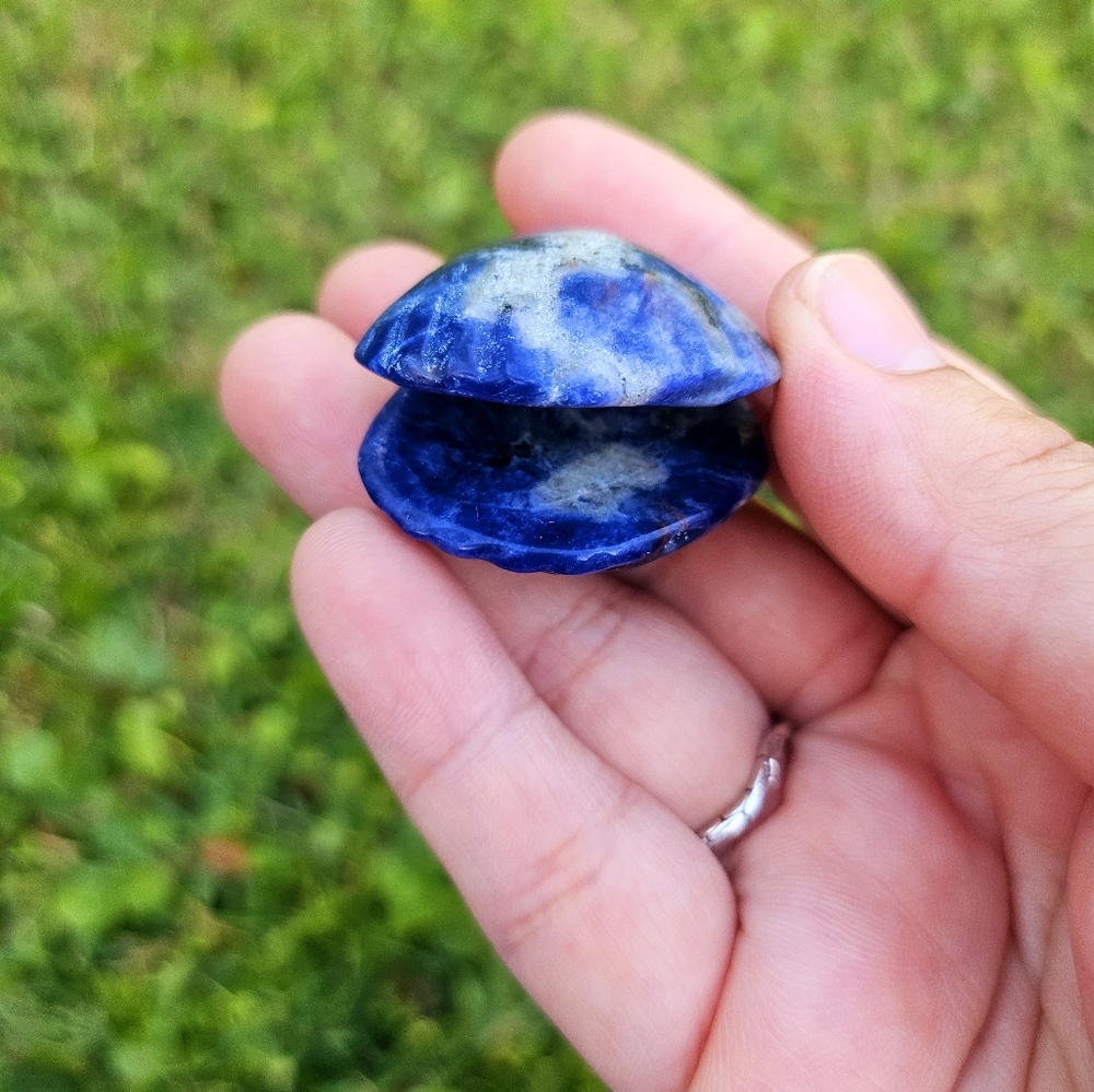 3 mini open clam shell 1.2 in each - Picture 6 of 6
